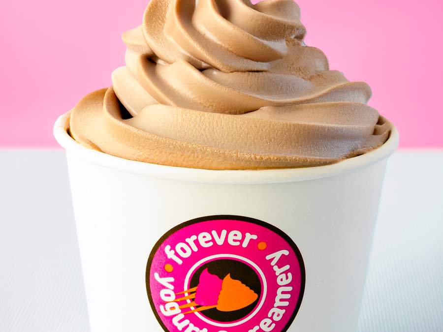 chocolate frozen yogurt