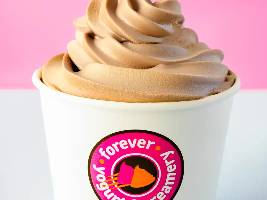 chocolate frozen yogurt